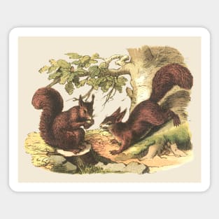 RED SQUIRRELS Magnet